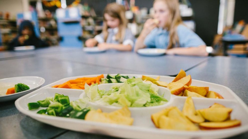 Healthy Eating for Children: 6 Ways to Build Healthy Habits for Children  During COVID-19 | Camp Australia